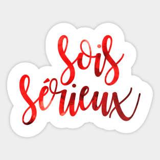 Sois Sérieux Sticker